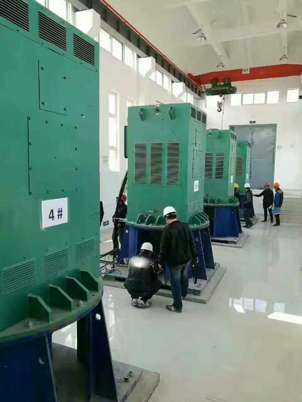 加茂镇某污水处理厂使用我厂的立式高压电机安装现场